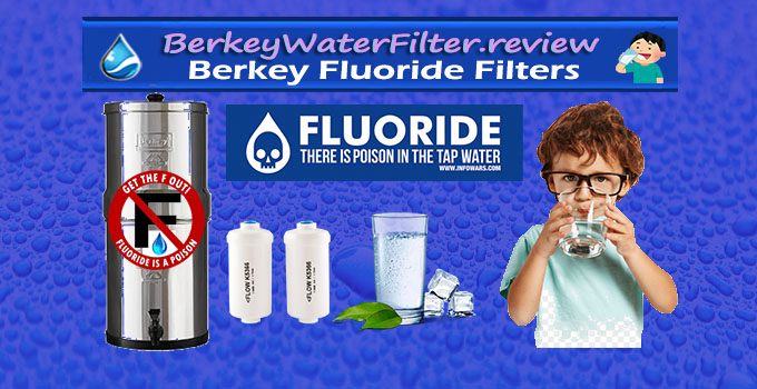 #1 Berkey Fluoride Filter Review - Best Fluoride Filters
