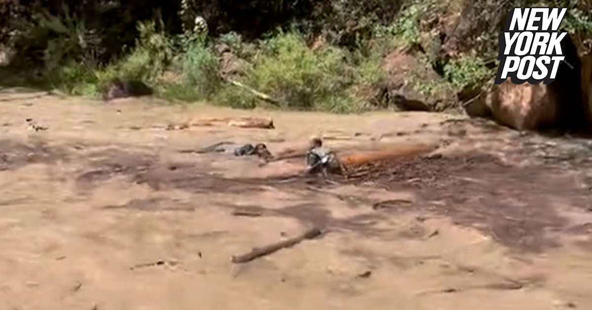 Haunting video appears to show woman being swept away at Zion National Park