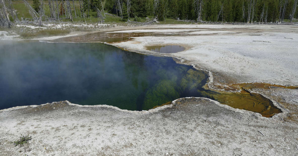 Part of a foot, in a shoe, spotted in Yellowstone hot spring