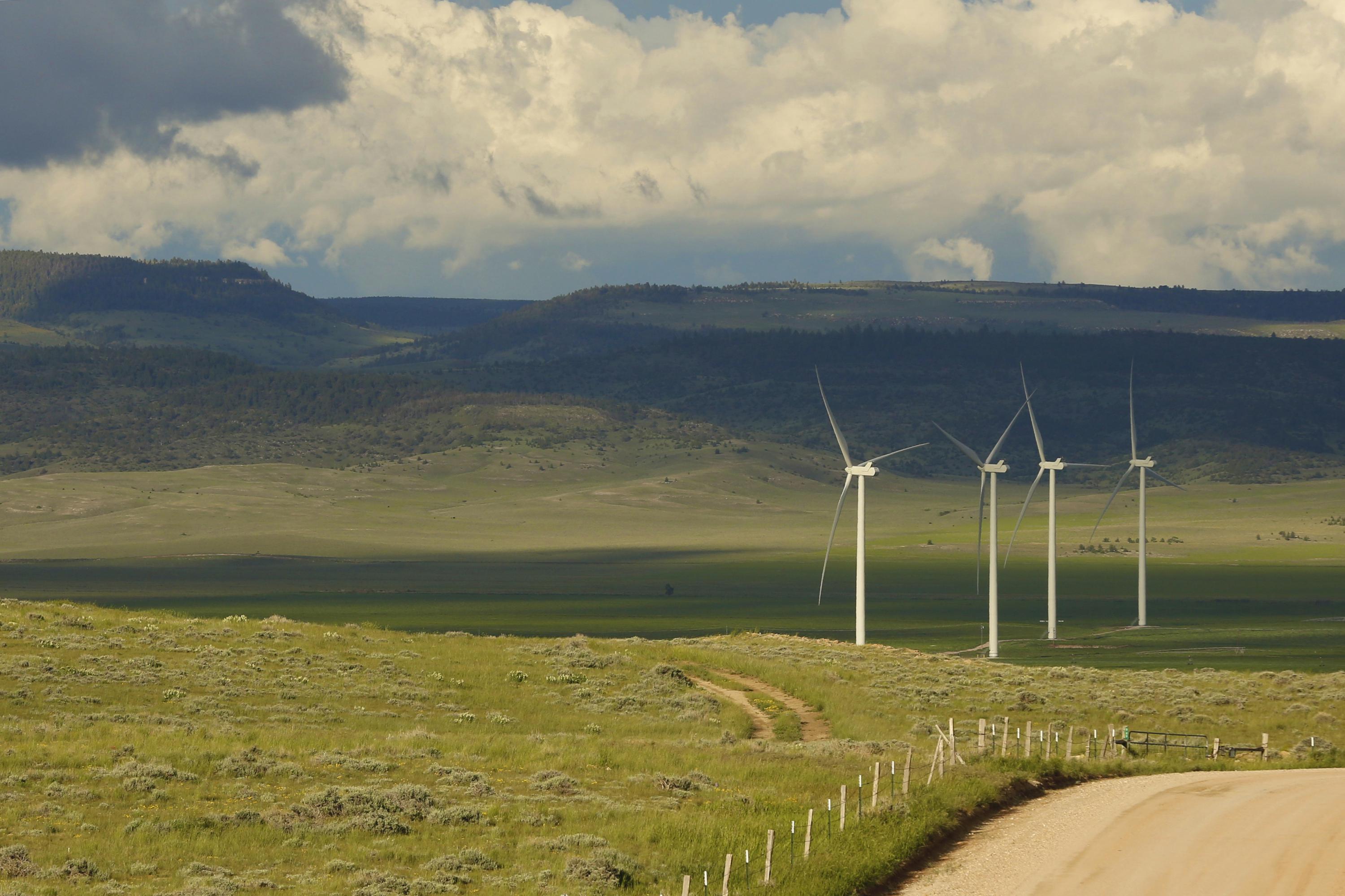Wind energy boom and golden eagles collide in the US West | AP News