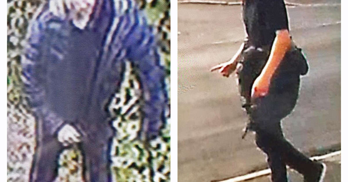 Manhunt launched after seven-year-old girl is ‘abducted and taken into woods’