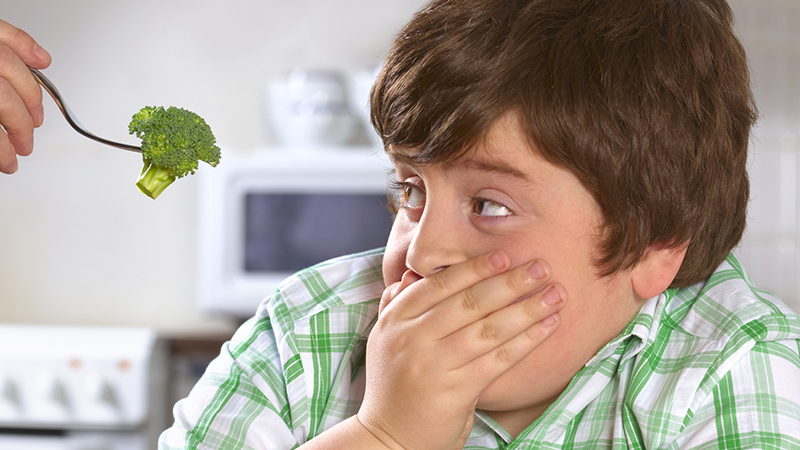 Study Claims More Kids Are Fat And Unhealthy Because Of GLOBAL WARMING