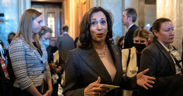 Surely the Democrats have a backup plan to Kamala Harris