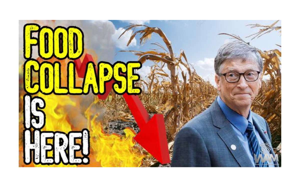 Food Collapse Is Here! - California Loses Half A Million Acres Of Farmland! - Crime Against Humanity [VIDEO]