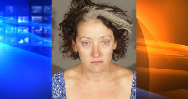 Actress reported missing arrested in California after allegedly biting officer