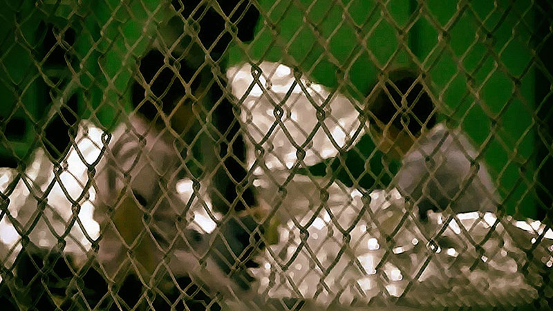 Epstein’s Island On Warp Speed – Exclusive Report