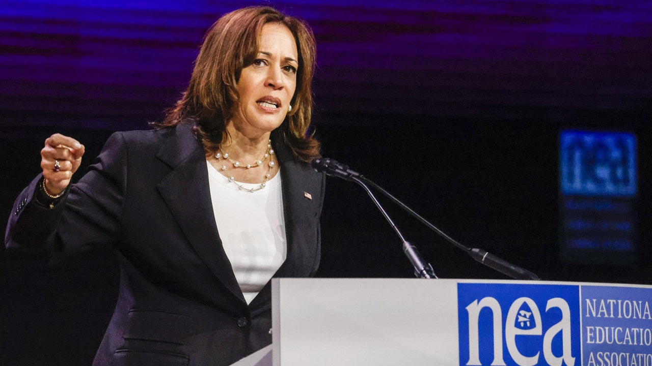 Minnesota bail fund promoted by Kamala Harris freed convict now charged with murder | Fox News
