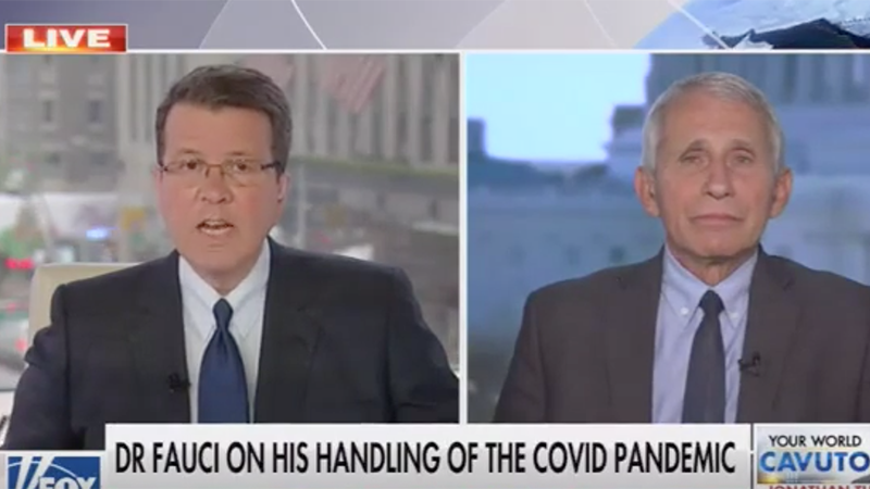 Video: Fauci Claims Lockdowns Have Not “Irreparably Damaged Anyone”