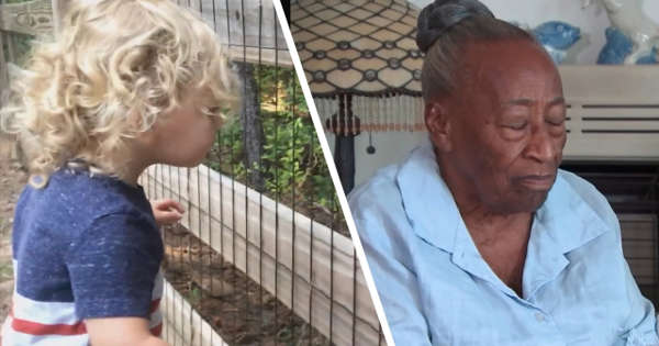 Toddler Playing in Backyard Spots Missing Elderly Woman