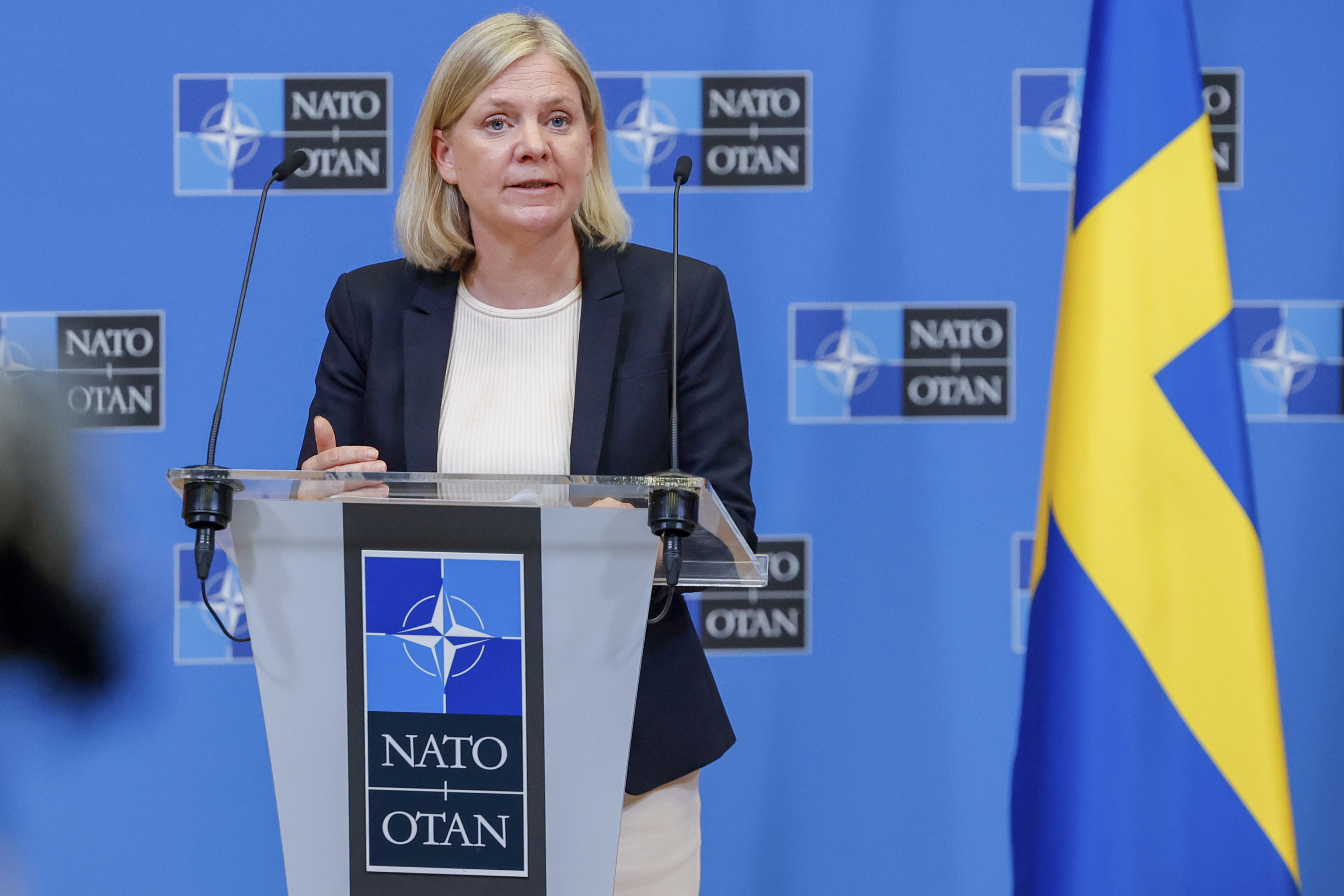 Sweden does not want 'Somali-towns,' says country's socialist PM in desperate attempt to stop surging anti-immigration party before September election