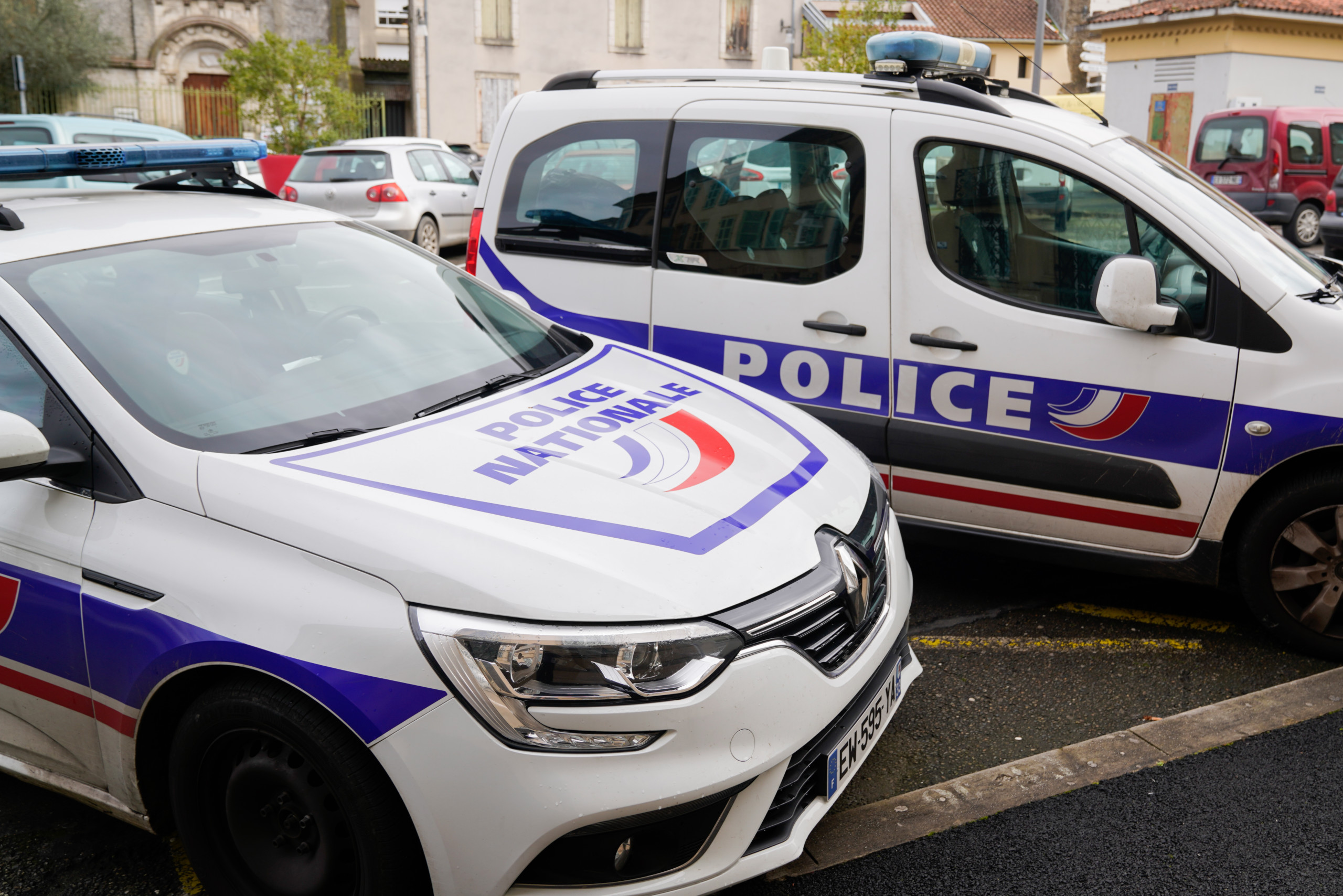 Arab immigrant sexually assaults woman in middle of the street just 2 months after arriving in France