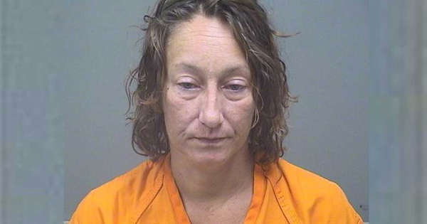 Ohio mom sentenced for leaving daughter, pets alone