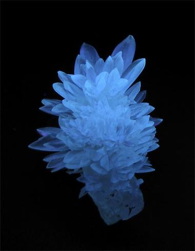 ZEOLITE DETOX