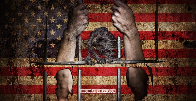 How Governments Are Using Democracy To Take Away Freedom » Sons of Liberty Media