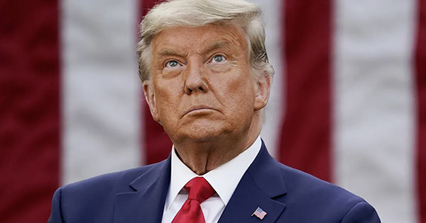 PollKing