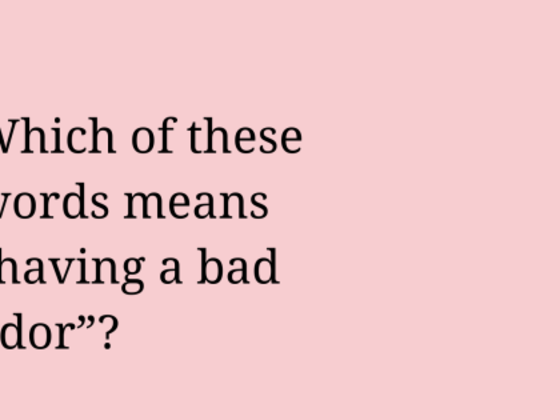 Brain Candy