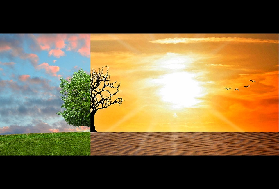 Astrophysicist says climate change has “nothing to do with man,” just a “gravy train” to make money – NaturalNews.com