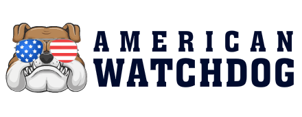 Lt. Gov. Winsome Sears Tears Into Democrat Party Over ‘Hatred’ Of Black Conservatives | American Watchdog