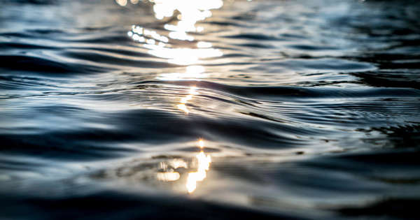 Body of young man found floating in Oakland County lake
