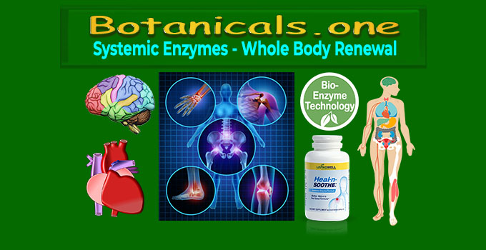 Best Systemic Enzymes on the Market - #1 Whole Body Healing