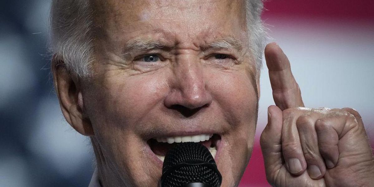 Biden taunts 'brave right-wing Americans,' saying they'll need more than guns to fight the government - TheBlaze