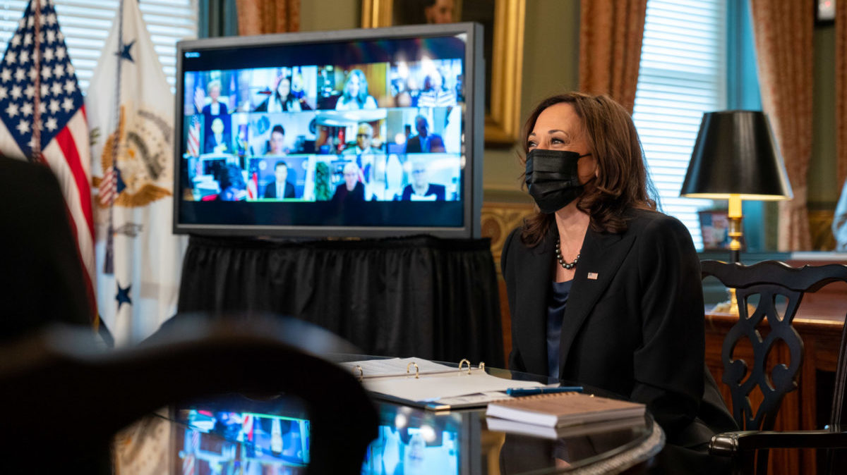 Kamala: We're Only A Democracy If Democrats Are In Power