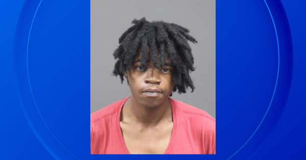 Harper Woods man, 19, charged after fatally shooting mother, her boyfriend