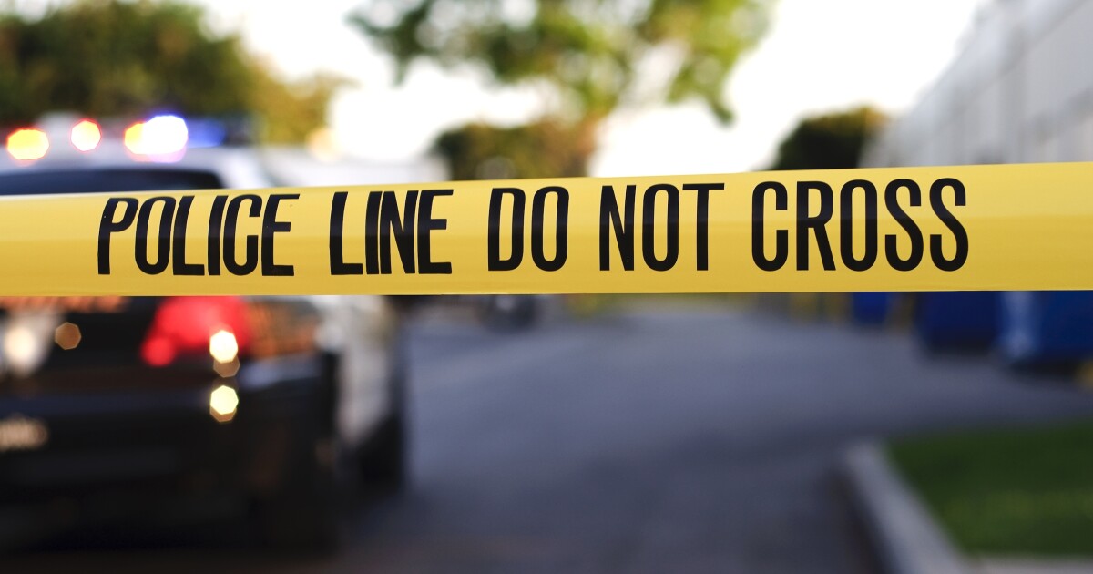 WATCH: Man tries to kidnap girl, 5, after mother refuses to sell her | Washington Examiner