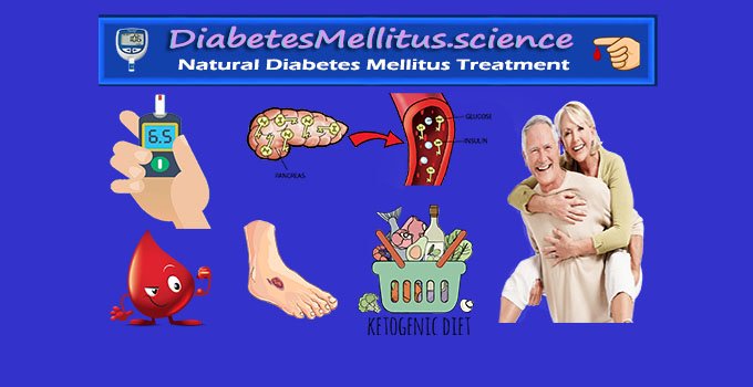 #1 Type 2 Diabetes Treatment - Best Diabetes Mellitus Plan