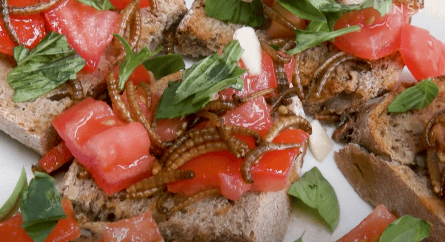 Poor In UK? Major Supermarket To Pitch Bugs For Survival Diet