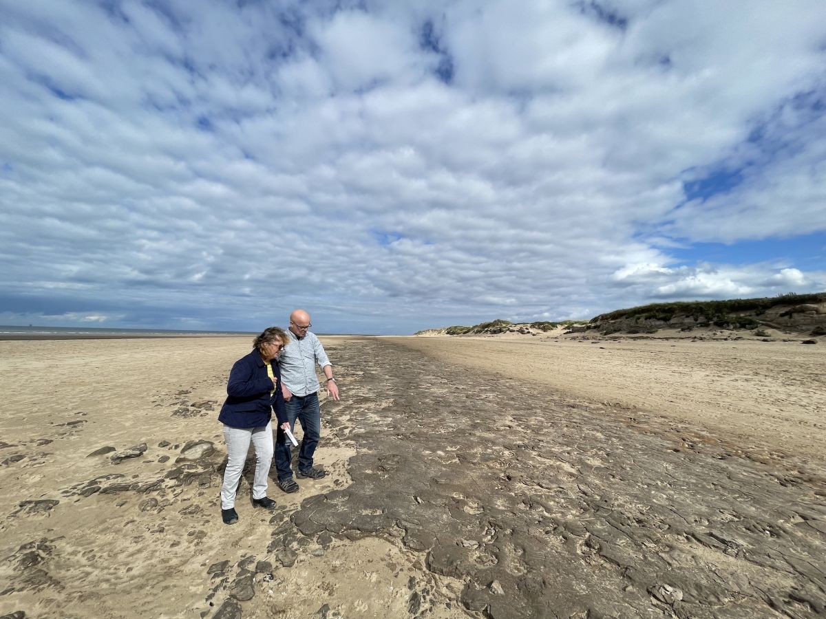 Superhighway of ancient human and animal footprints in England provides an 'amazing snapshot of the past' | Live Science