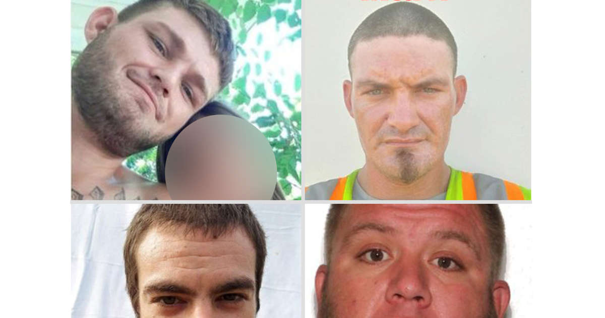 Multiple Human Remains Found in Search for 4 Friends Who Vanished After Going for a Bike Ride