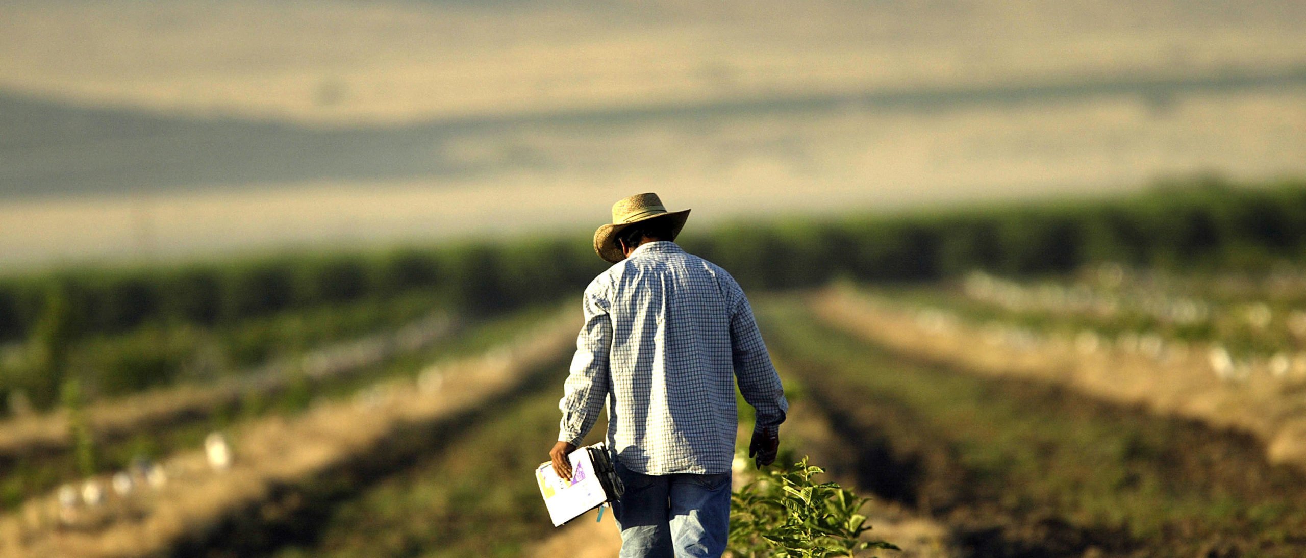 House Republicans Request Gov’t Watchdog Investigate Foreign Investments In American Farmland | The Daily Caller
