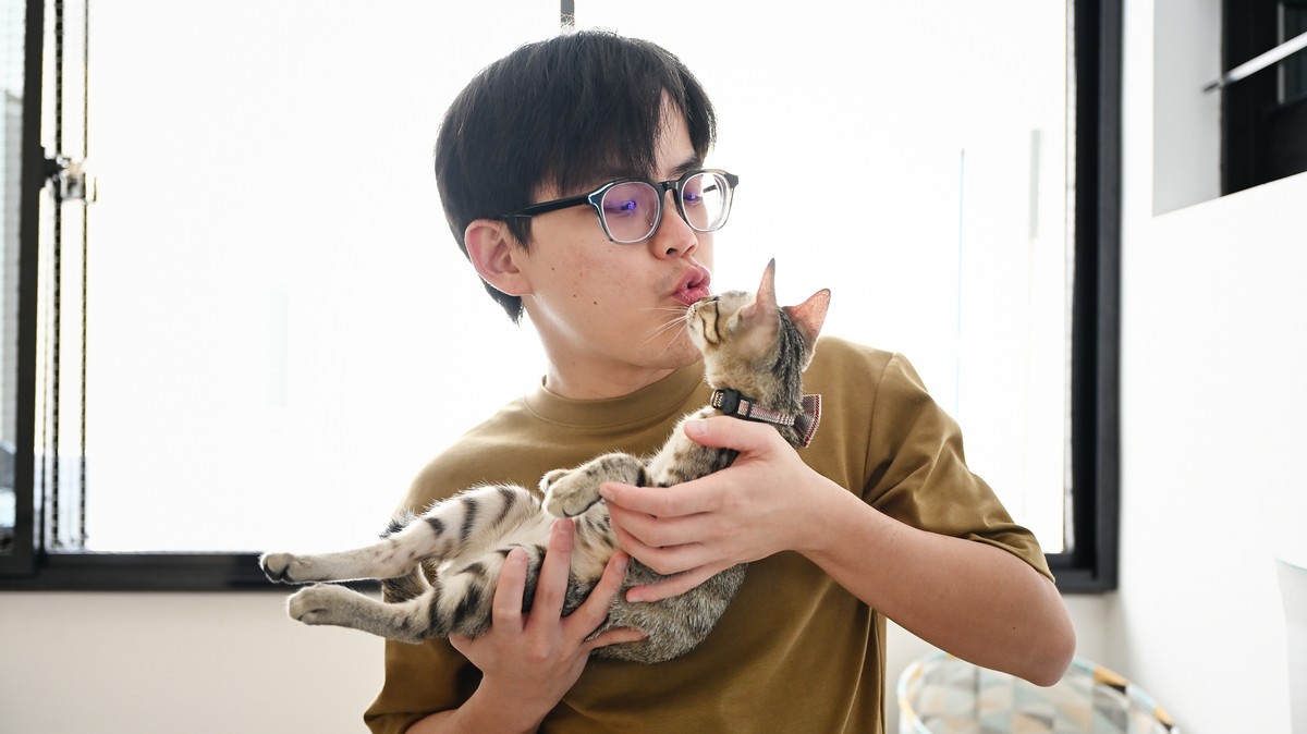 Your Cat Recognizes the Special Way You Talk to It, Study Finds