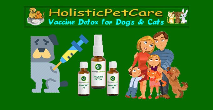 Best Vaccine Detox for Dogs - #1 Detox for Dogs and Cats
