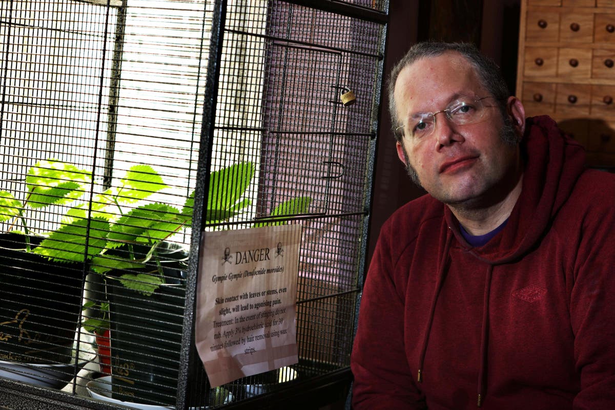 Gympie-gympie: British man grows ‘world’s most dangerous plant’ with a sting so bad it causes months of pain | The Independent