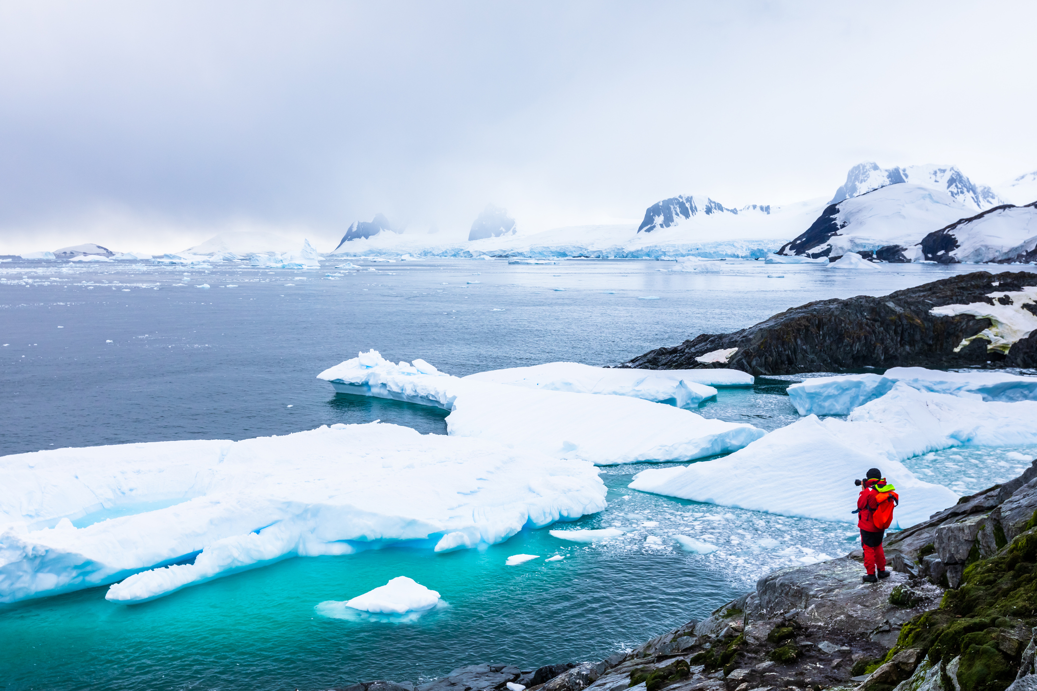 There Could Be Something Big Living Deep Beneath the Antarctic Ice