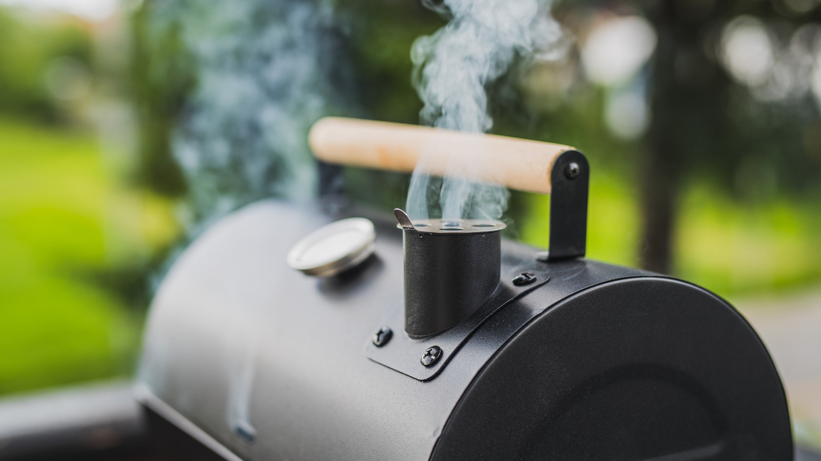 The Trick For Cooking Your Thanksgiving Turkey Just Like In A Smoker