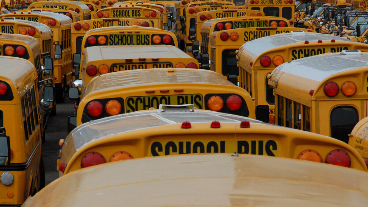 The Fight For Educational Freedom Is Just Warming Up