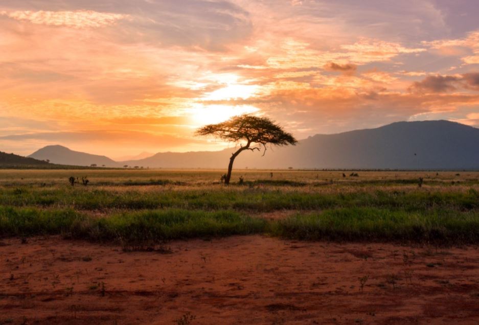 The Oldest Language Is Said To Be Over 100,000 Years Old | History of Yesterday