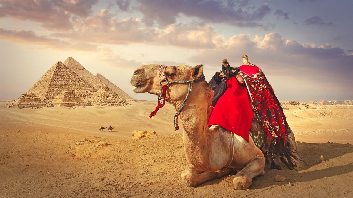 Was ancient Egypt a desert? | Live Science