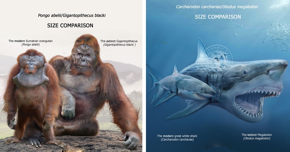 Illustrations Compare Size of Prehistoric and Modern Animals