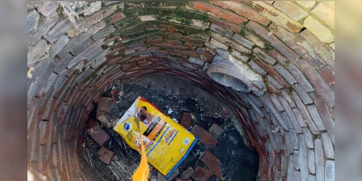 Tiny Animal Stuck In Sewer Gets Lifted To Safety In The Most Creative Way - The Dodo