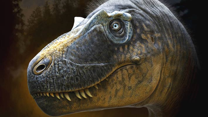 Newly-Discovered Tyrannosaur Species Fills Gap in Lineage Leading to Tyrannosaurus rex | Sci.News