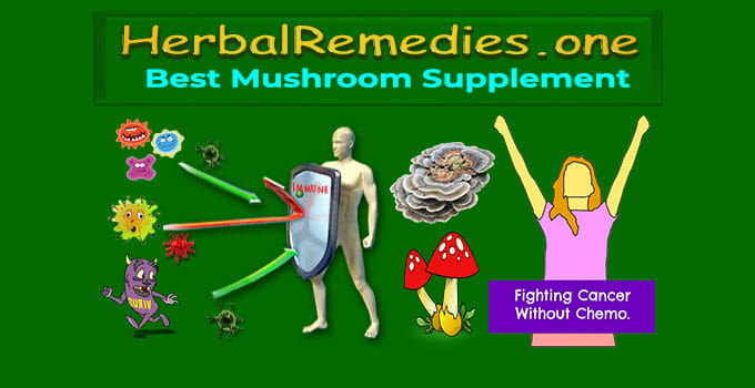 #1 Best Organic Mushroom Supplement - Boost Protect Immunity