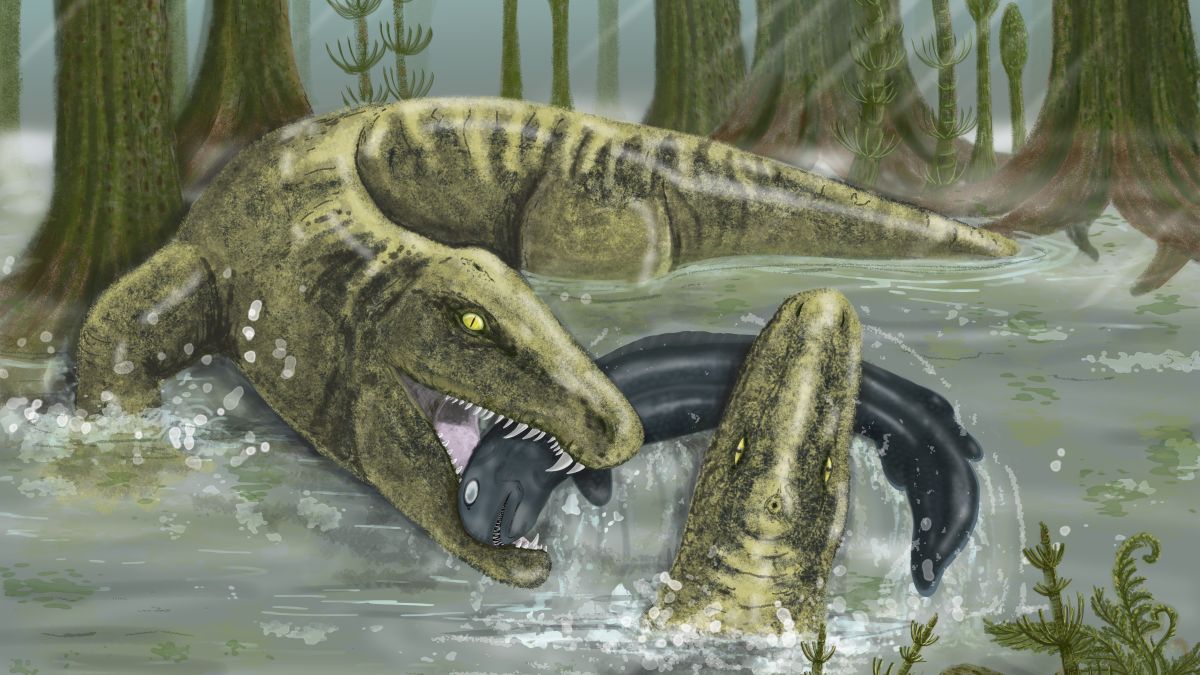 Ancient superpredator that lived 328 million years ago was 'the T. rex of its time' | Live Science