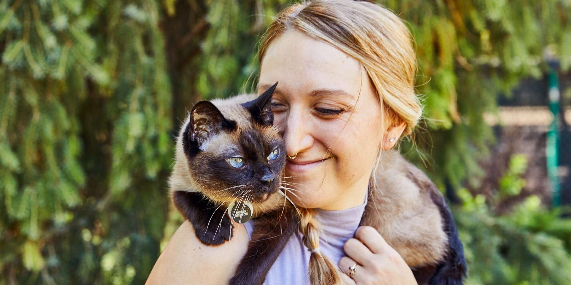 12 of the Smartest Cat Breeds | Daily Paws