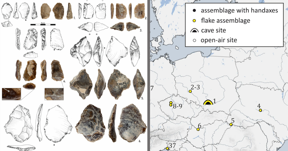500,000-Year-Old Tools May Have Belonged To A Species Of Extinct Hominid  »  TwistedSifter