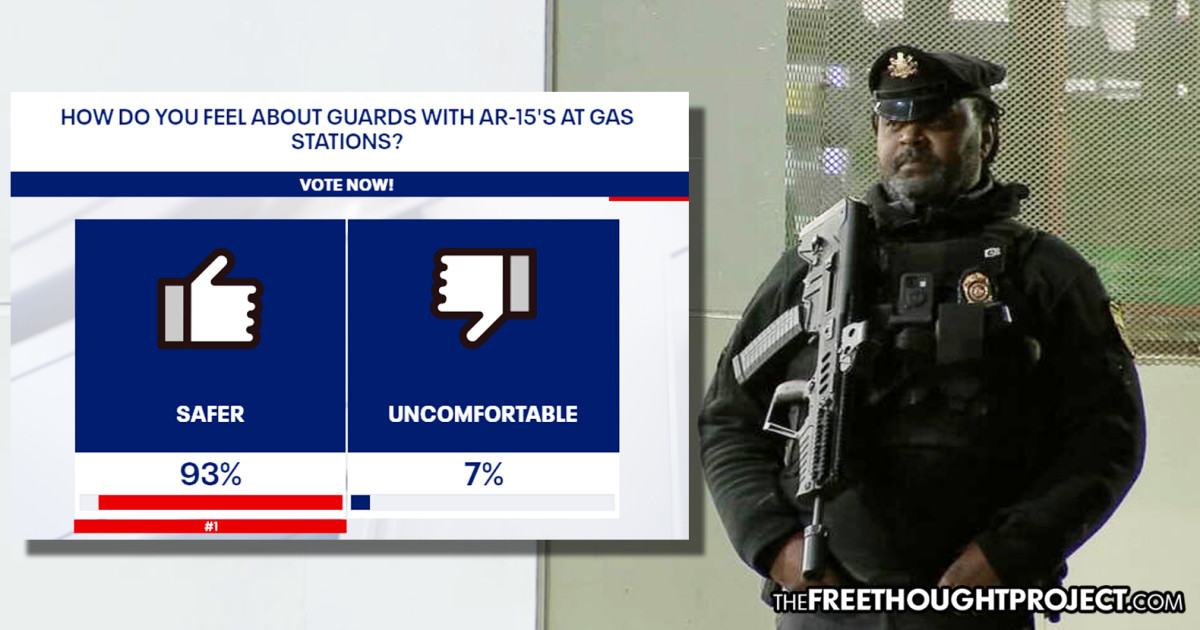 As Government Fails Them, Americans Quickly Realize The Power Of Gun Rights, AR-15s & Private Police » Sons of Liberty Media