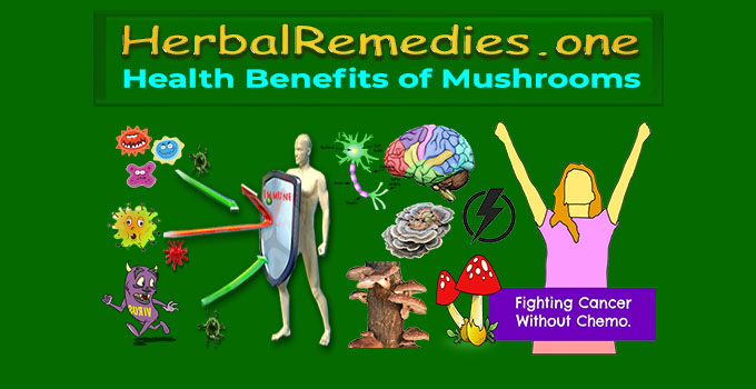 Best Health Benefits of Mushrooms - #1 Medicinal Mushrooms